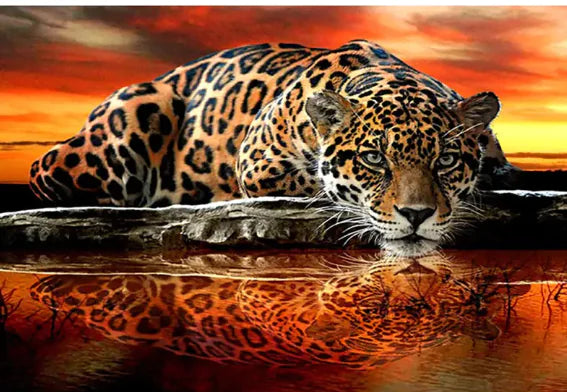 5D Sunset Tiger DIY Rhinestone Diamond Painting Kit
